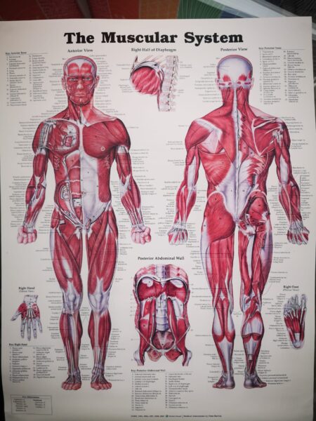 PHOTO-2021-09-28-13-50-25 2 Reflexology Gift voucher