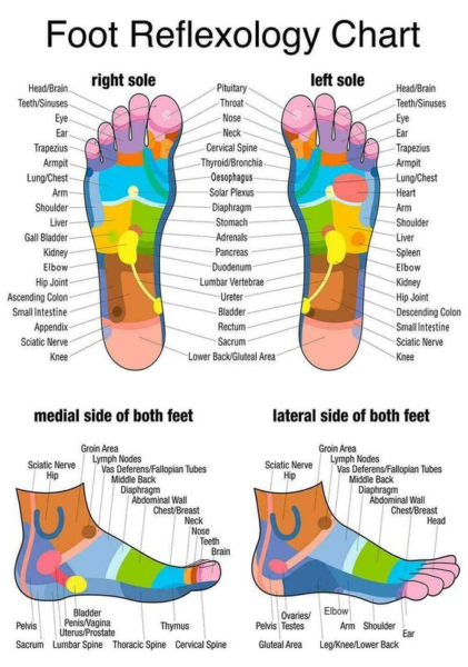 foot reflexology chart foot reflexology chart